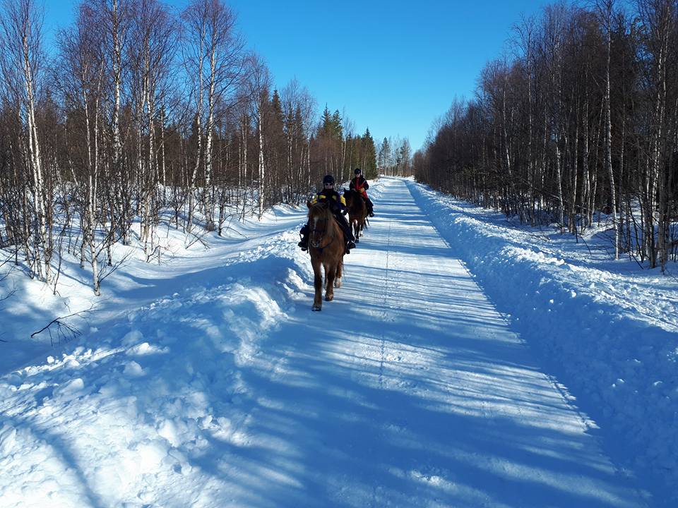 Riding in winter
