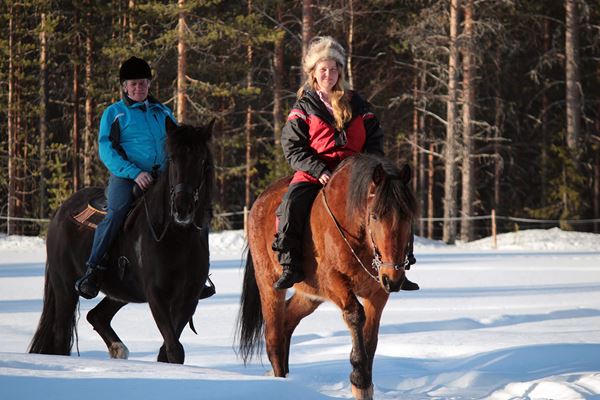 Trail riding in winter