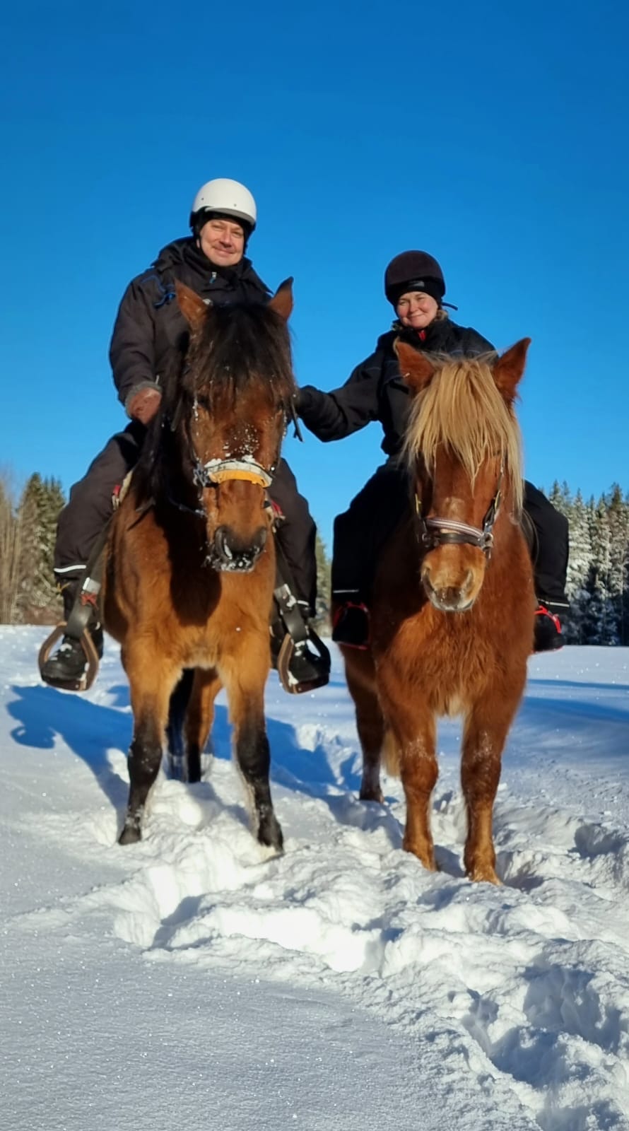 Riding in Lapland