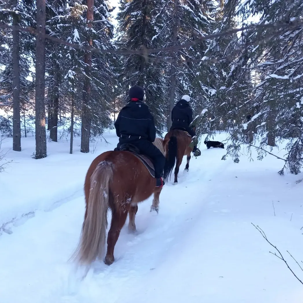 eraratsut5 Trail riding